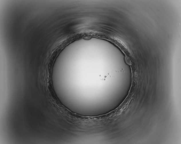 X0000096181111200801180844