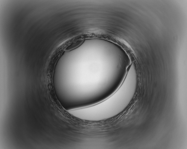 X0000096181112200801180844