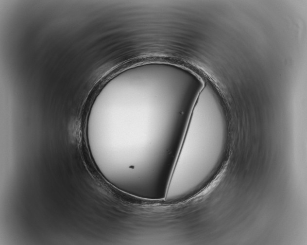 X0000096181113200801180844