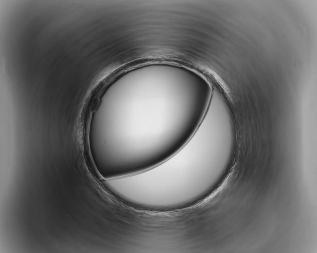 X0000096181114200801180844