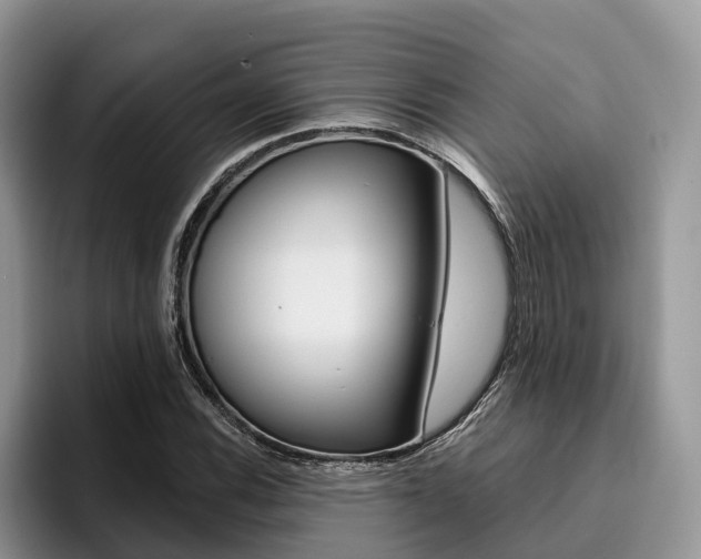 X0000096181116200801180844