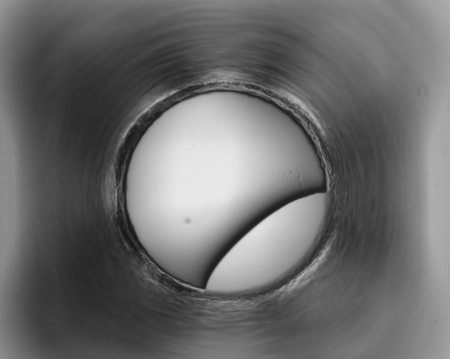 X0000096181117200801180844