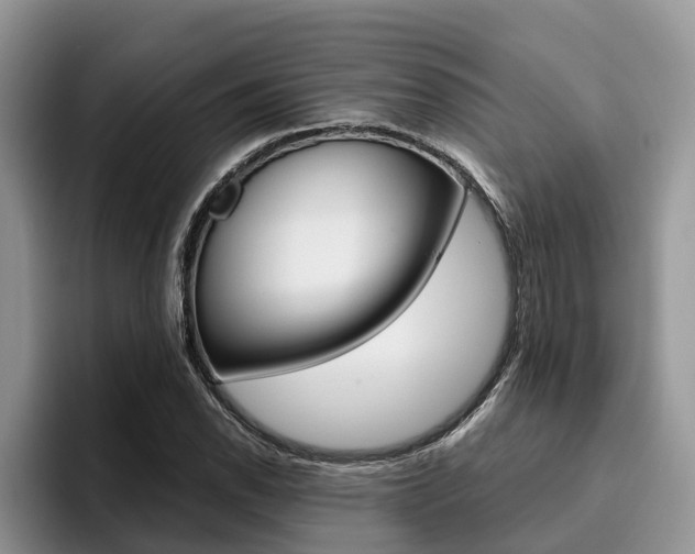 X0000096181118200801180844