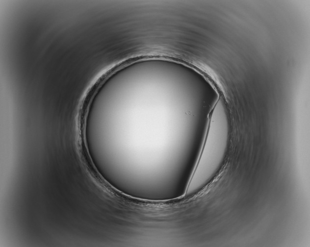 X0000096181120200801180845