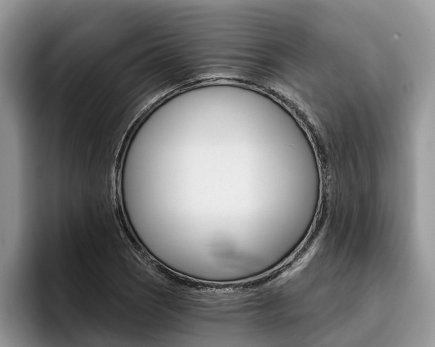 X0000096181121200801180845