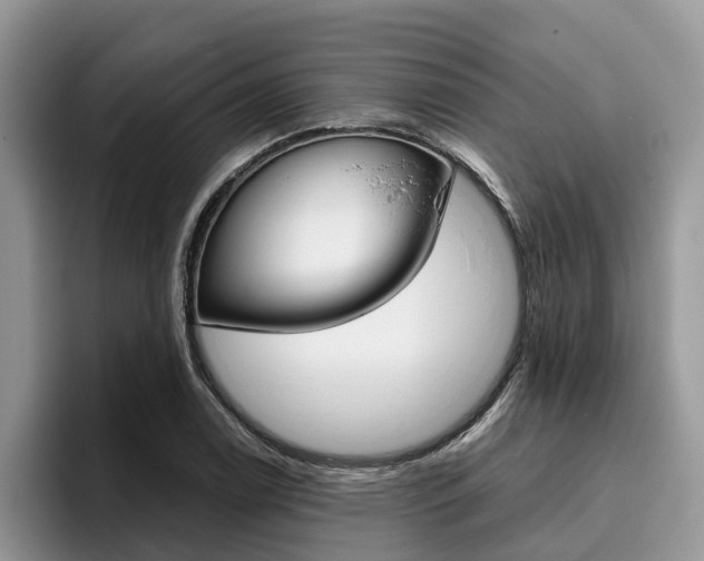 X0000096181122200801180845