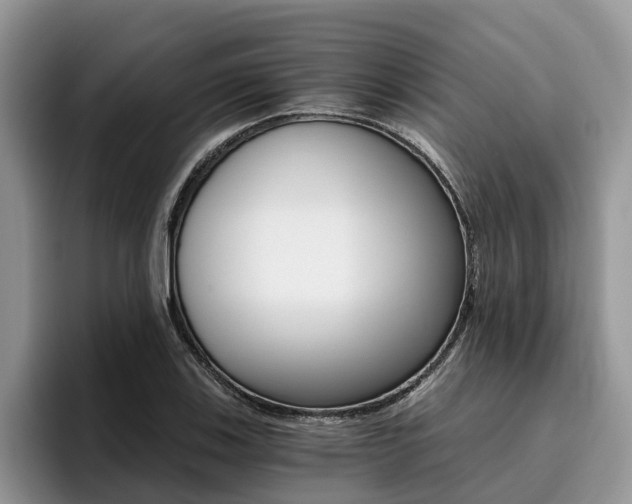 X0000096181123200801180845