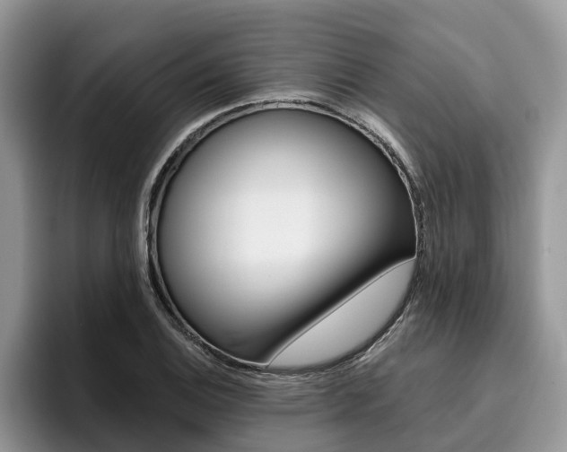 X0000096181124200801180845