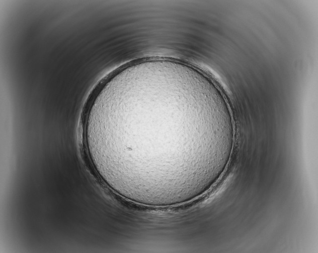 X0000096181125200801180845