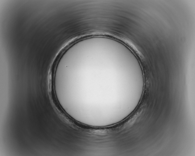 X0000096181126200801180845