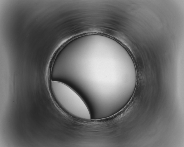 X0000096181127200801180845