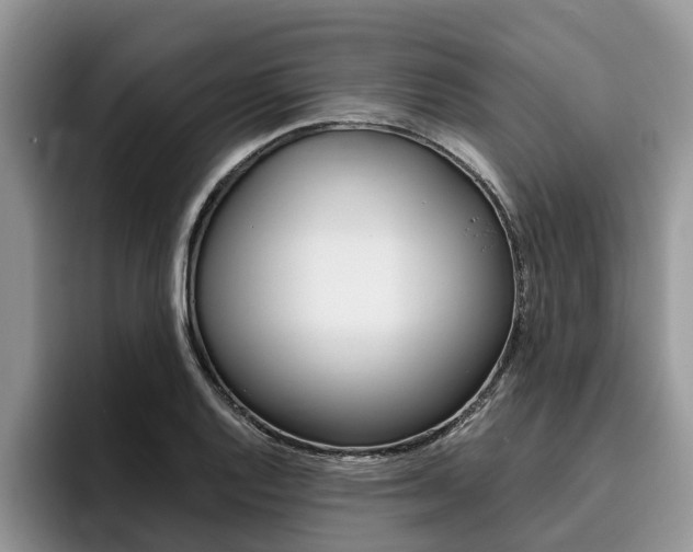 X0000096181128200801180845