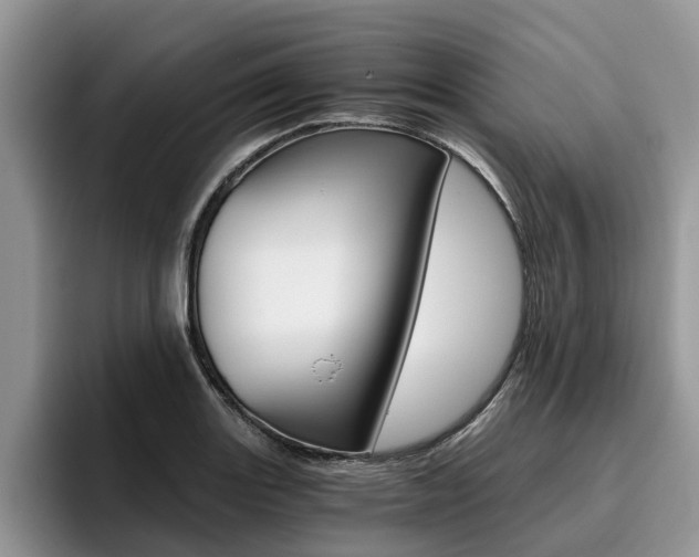 X0000096181131200801180845