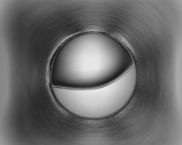 X0000096181132200801180845