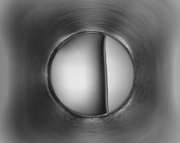 X0000096181133200801180845