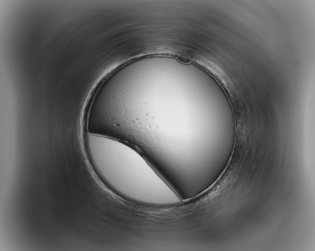 X0000096181135200801180845