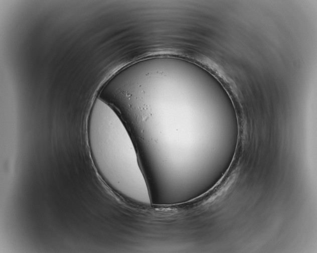 X0000096181137200801180845