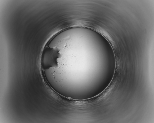 X0000096181138200801180845