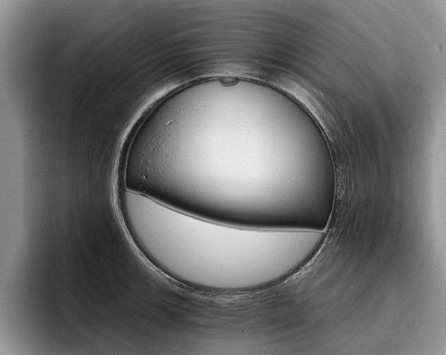 X0000096181139200801180845