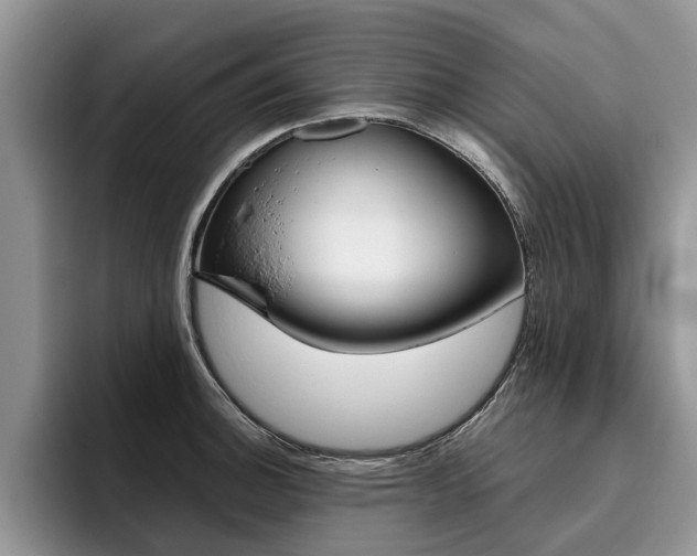 X0000096181140200801180845