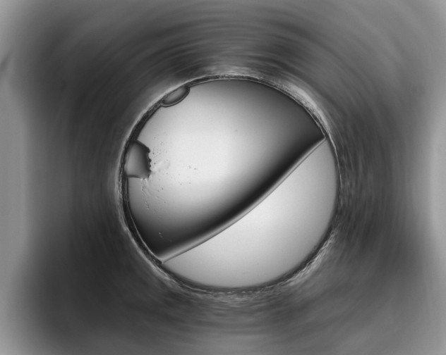 X0000096181141200801180845