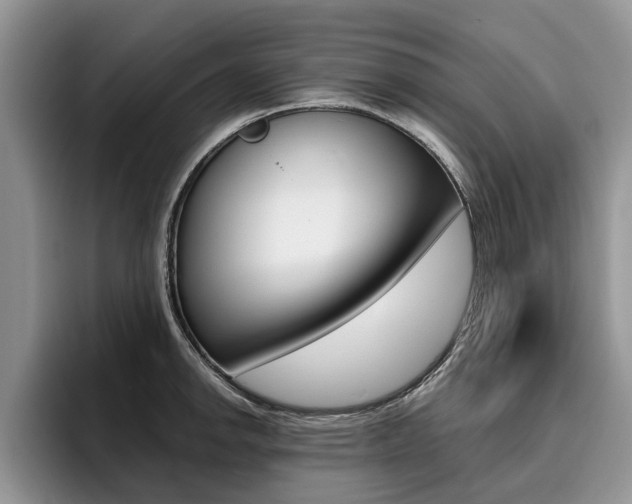 X0000096181142200801180845