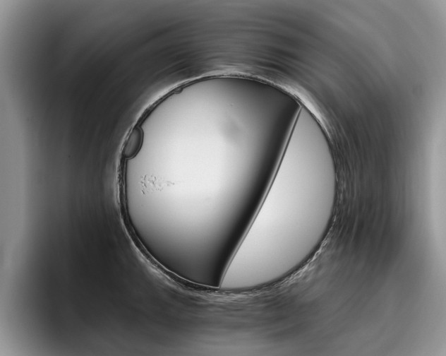 X0000096181143200801180845