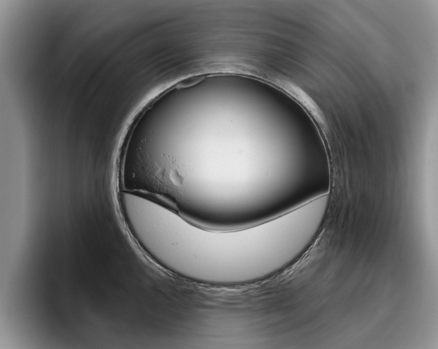 X0000096181144200801180845