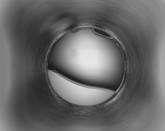 X0000096181145200801180845