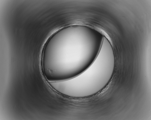 X0000096181146200801180845
