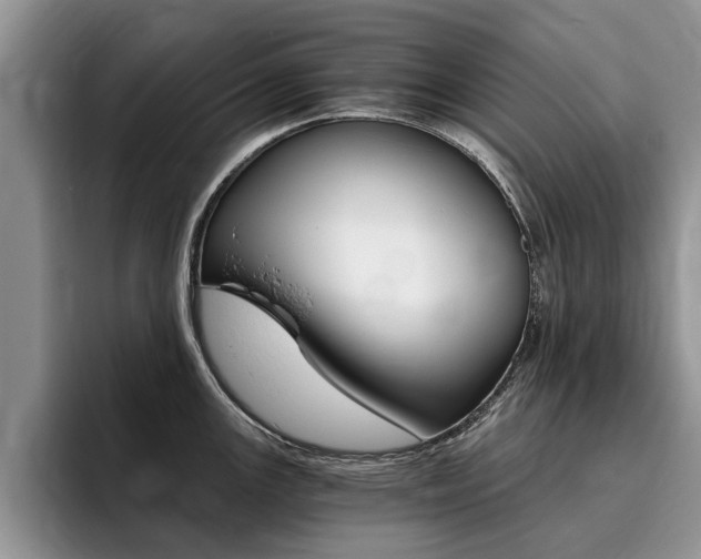 X0000096181147200801180845