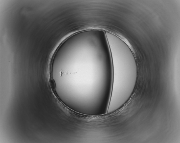 X0000096181148200801180845