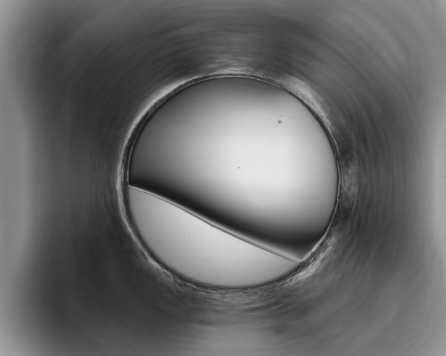 X0000096181149200801180845