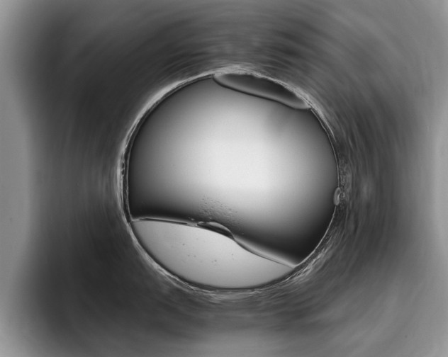 X0000096181151200801180845