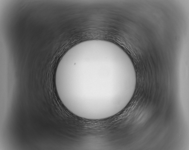 X0000096181153200801180844