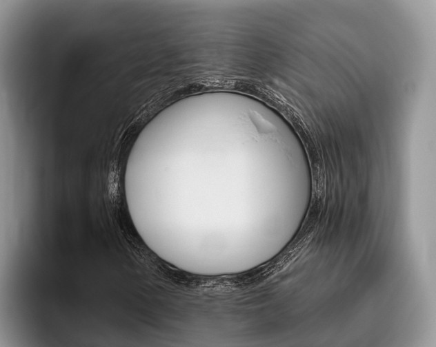X0000096181154200801180844