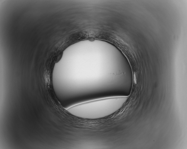 X0000096181155200801180844