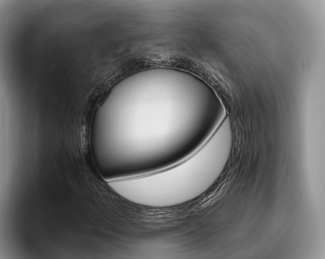 X0000096181156200801180844