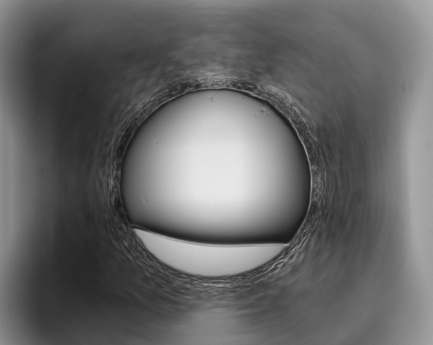 X0000096181157200801180844
