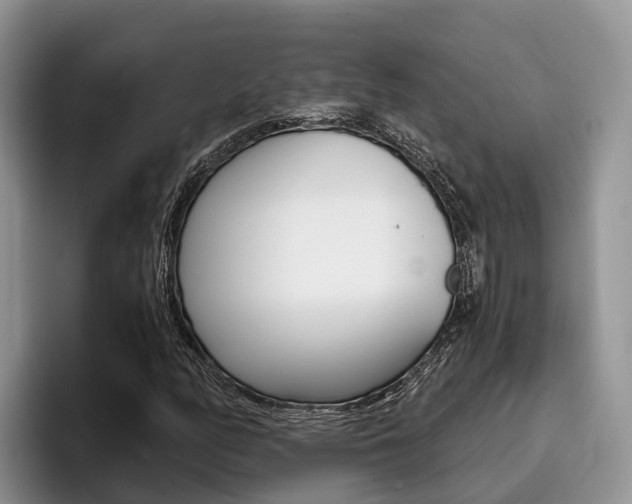 X0000096181158200801180844