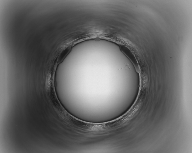 X0000096181161200801180844