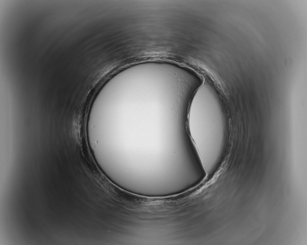 X0000096181162200801180844