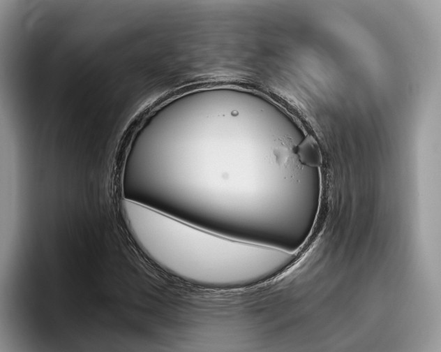 X0000096181163200801180844