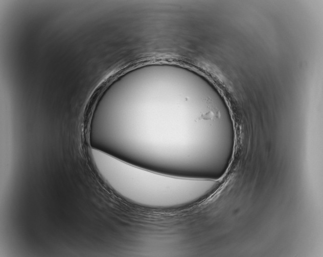 X0000096181165200801180844
