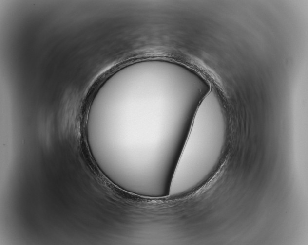 X0000096181166200801180844