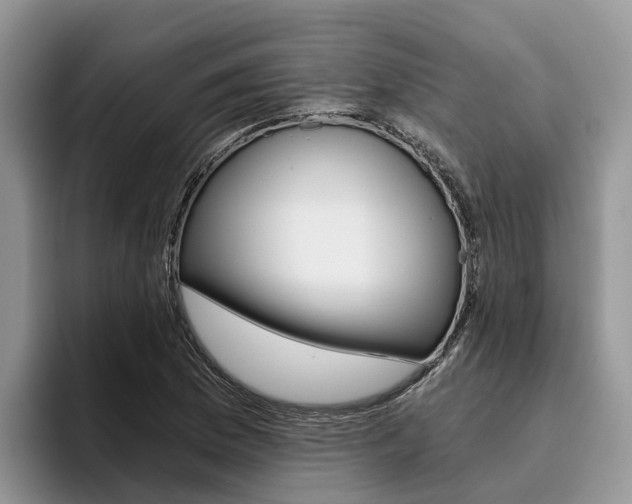 X0000096181169200801180844