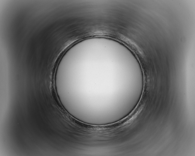 X0000096181170200801180844