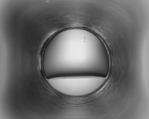X0000096181171200801180844