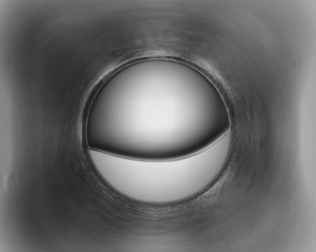 X0000096181173200801180844