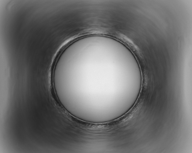 X0000096181174200801180844